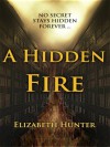 A Hidden Fire  - Elizabeth   Hunter