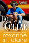 Hot Under the Collar (The Dogmothers, #1) - Roxanne St. Claire