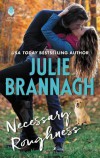 Necessary Roughness - Julie Brannagh