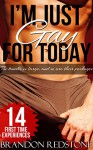 I'm Just Gay For Today (14 Book Steamy MM Mega Bundle) - Brandon Redstone