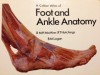 A Colour Atlas Of Foot And Ankle Anatomy (Wolfe Medical Atlases) - R. M. H. McMinn, Ralph T. Hutchings, B. M. Logan