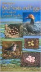 Field Guide to Bird Nests and Eggs of Alaska's Coastal Tundra - Timothy Bowman