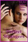 Perfect Strangers: Five Sex with Stranger Erotica Stories - Connie Hastings, Amy Dupont, Angela Ward, Sarah Blitz