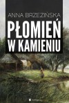 Płomień w kamieniu - Anna Brzezińska