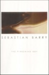 The Pinkening Boy - Sebastian Barry