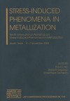 Stress-Induced Phenomena in Metallization: Tenth International Workshop on Stress-Induced Phenomena in Metallization - Paul S. Ho, Ehrenfried Zschech, Shinichi Ogawa