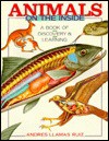 Animals on the Inside: A Book of Discovery and Learning - Andres Llamas Ruiz