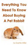 Everything You Need To Know About Bying a Pet Rabbit - Sophie Miller