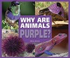 Why Are Animals Purple? - Melissa Stewart