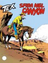 Tex n. 247: Sfida nel canyon - Gianluigi Bonelli, Erio Nicolò, Francesco Gamba, Aurelio Galleppini