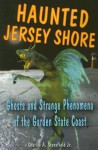 Haunted Jersey Shore: Ghosts and Strange Phenomena of the Garden State Coast (Haunted Series) - Charles A. Stansfield Jr., Heather Adel