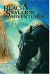 The Black Stallion Adventure Set: Four-Volume Box Set - Walter Farley