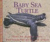 Baby Sea Turtle - Aubrey Lang, Wayne Lynch