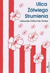 Ulica Żółwiego Strumienia - Aleksandra Ziółkowska-Boehm