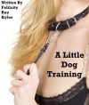 A Little Dog Training - Felicity Ray Kyles