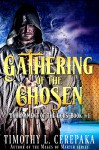 Gathering of the Chosen (Tournament of the Gods Book 1) - Timothy L. Cerepaka