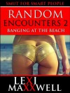 Random Encounters 2: Banging at the Beach (Lexi Maxxwell's Smut for Smart People) - Lexi Maxxwell