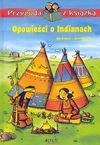 Opowieści o Indianach - Udo Richard