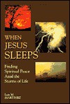 When Jesus Sleeps: Finding Spiritual Peace Amid the Storms of Life - Luis M. Martinez