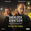 Die Spur des Teufels (Sherlock & Watson - Neues aus der Baker Street 3) - Viviane Koppelmann, Johann von Bülow, Der Audio Verlag, Florian Lukas