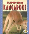 Jumping Kangaroos - Michelle Levine