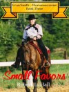 Small Favors (Evan Smith-Horseman series) - Robert L. Hall