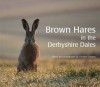 Brown Hares In The Derbyshire Dales - Christine Gregory