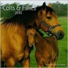 Colts & Fillies - Bob Langrish