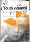 Youth Violence: Sources and Solutions in South Africa - Catherine L. Ward, Catherine Ward