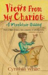 VIEWS FROM MY CHARIOT: A Wheelchair Oddity - Cynthia White