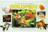 An Essential Guide to Keeping Goldfish - Bernice Brewster