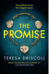 The Promise - Teresa O'Driscoll