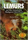 Lemurs: And Other Animals of the Madagascar Rain Forest - James J. Martin