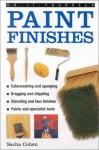 Paint Finishes (Diy Essentials) - Sasha Cohen