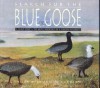 Search for the Blue Goose - Constance Martin