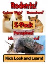 Rodents! Learn About Rodents and Enjoy Colorful Pictures - Look and Learn! (250+ Photos of Rodents) - Becky Wolff