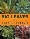 Big Leaves for Exotic Effect - Stephen Griffith