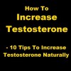 How To Increase Testosterone - 10 Tips To Increase Testosterone Naturally - Paul King