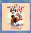 Wonderful Way Babies Are Made, The (Bethany Backyard) - Larry Christenson