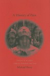 A History of Pain: Trauma in Modern Chinese Literature and Film - Michael Berry