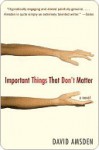 Important Things That Don't Matter - David Amsden