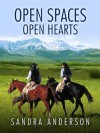 Open Spaces Open Hearts - Sandra Anderson