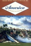 America, Volume 1: A Narrative History - George Brown Tindall, David Emory Shi