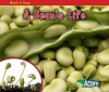 A Bean's Life - Nancy Dickmann, Nancy E. Harris