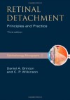 Retinal Detachment: Priniciples and Practice: 1 (Ophthalmology Monograph Series) - Daniel A. Brinton, Charles P. Wilkinson