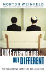 Like Everyone Else ... But Different: The Paradoxical Success of Canadian Jews - Morton Weinfeld