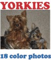 Yorkies: A Picture Guide to Yorkshire Terriers - Sandra Haws