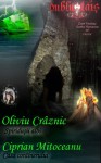 Dublu Tais: Spiridusii albi; Casa corabierului (Two Blade Sword: White Lepreclowns; The Pirate In The Ship-House) - Oliviu Craznic, Ciprian Mitoceanu, Catalina Fometici