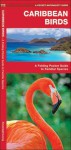 Caribbean Birds: A Folding Pocket Guide to Familiar Species - James Kavanagh