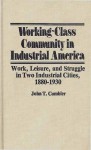 Working-Class Community in Industrial America: Work, Leisure, and Struggle in Two Industrial Cities, 1880$1930 - John T. Cumbler